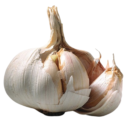 Sarımsak